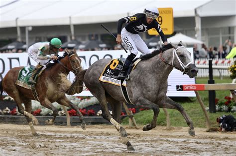 Copper Horse Stakes 2024 .